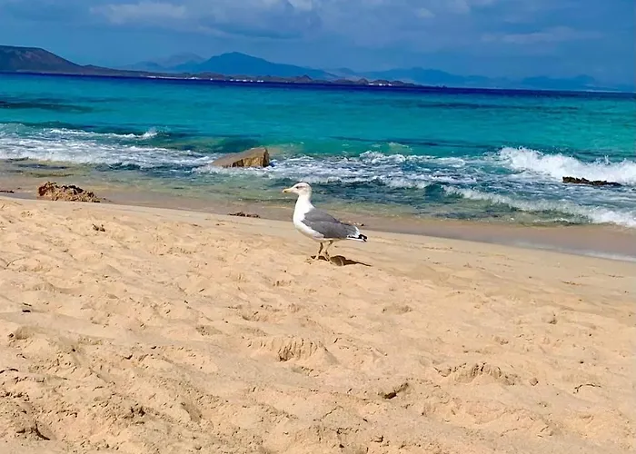 Paola Comfort * コスタ・カルマ