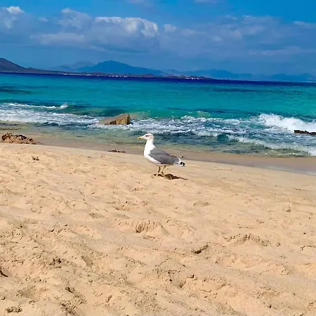 Paola Comfort * 科斯塔卡玛